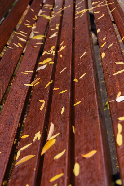 Wooden Bench Foliage Autumn Rain Drops Water Fall Boards — Stock Photo, Image