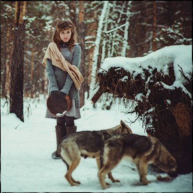 Genç bir kız, kışın bir çam ormanında yalnız başına keçeli çizme ve basit köylü kıyafetleri giyerek başıboş köpekleri beslemeye geldi.