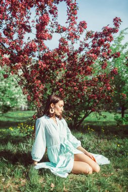 Genç ve güzel bir kız parkta çimlerin üzerinde oturuyor. Çiçekli kırmızı bir elma ağacının altında. Çok güzel bir açık renk elbise giyiyor..
