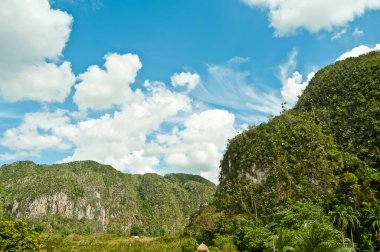 Küba 'daki Vinales Vadisi' ndeki güzel tropikal doğa
