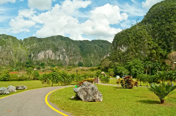Küba 'daki Vinales Vadisi' ndeki güzel tropikal doğa