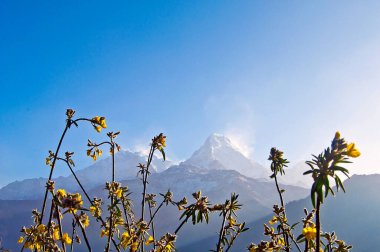 Muhteşem ve tehlikeli Annapurna dağı, Nepal Himalayalar 'ın aşağısında.