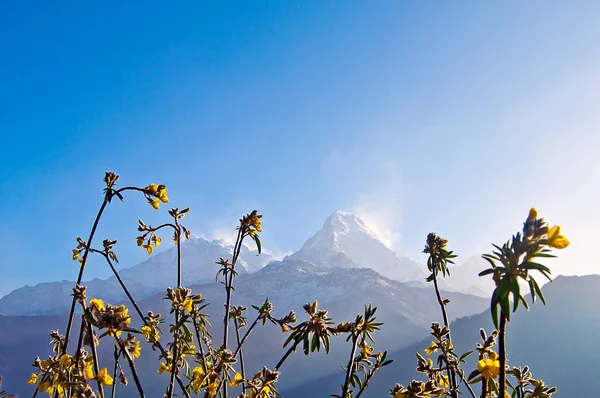 Majestuosa Peligrosa Montaña Annapurna Himalaya Nepal — Foto de Stock