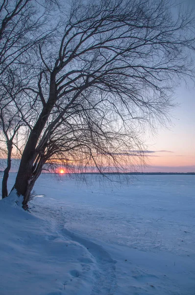 Puesta Sol Invierno Hielo Del Río Volga Samara Rusia —  Fotos de Stock