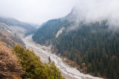 Kırgızistan yakınlarındaki Ala-Archa ulusal rezervinde manzara. Tien Shan Dağları