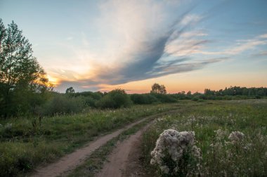 Rusya 'nın Bashkortostan cumhuriyetinin Agidel kasabasındaki küçük nehrin yakınındaki bir ormanda günbatımının tadını çıkarıyorum.