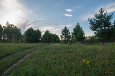 Rusya 'nın Bashkortostan cumhuriyetinin Agidel kasabasındaki küçük nehrin yakınındaki bir ormanda günbatımının tadını çıkarıyorum.