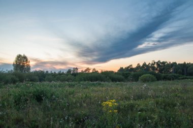 Rusya 'nın Bashkortostan cumhuriyetinin Agidel kasabasındaki küçük nehrin yakınındaki bir ormanda günbatımının tadını çıkarıyorum.