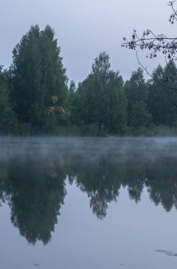 Bashkortostan, Rusya 'nın kuzeyindeki vahşi orman gölü yakınlarında sakin bir sabah