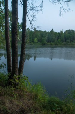 Bashkortostan, Rusya 'nın kuzeyindeki vahşi orman gölü yakınlarında sakin bir sabah