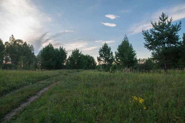 Rusya 'nın Bashkortostan cumhuriyetinin Agidel kasabasındaki küçük nehrin yakınındaki bir ormanda günbatımının tadını çıkarıyorum.