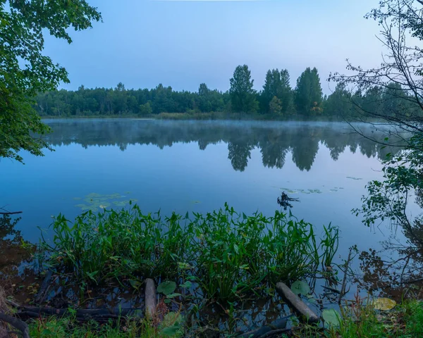 ロシアのバシコルトスタン北部の野生の森の湖の近くの穏やかな朝 — ストック写真