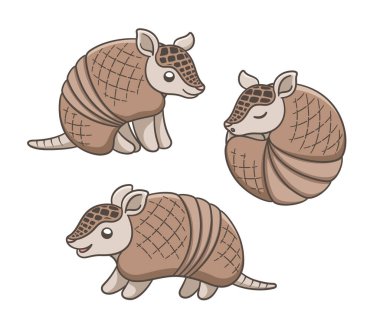 Farklı pozlarda armadillo karikatürü vektör illüstrasyon seti oluşturur. Oturmak, ayakta durmak ve yuvarlanmak. Sevimli hayvan karakteri tasarımı.