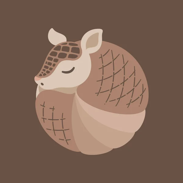 Armadillo Sleeping Rolled Ball Vector Illustration Cute Animal Character Design — Stock Vector