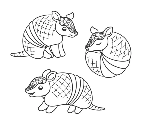 Armadillo Cartoon Outline Different Poses Vector Illustration Set Sitting Standing — Stock Vector