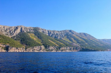 Hırvatistan 'ın Hvar Adası' nın güney tarafındaki üzüm bağları