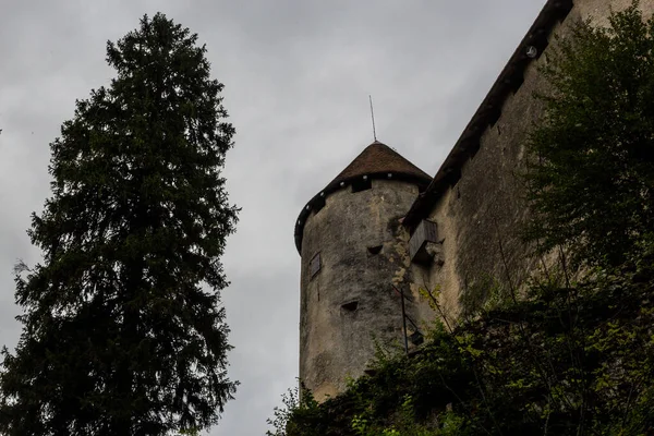 Bled Castle Een Regenachtige Dag — Stockfoto