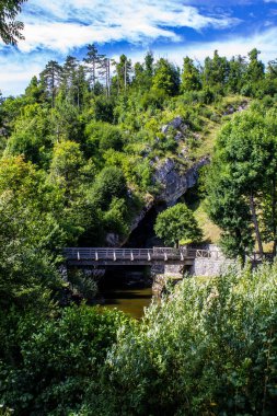 Slovenya 'nın Postojna kentindeki Pivka Nehri ve Doğa Manzarası