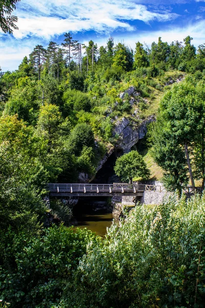 Slovenya 'nın Postojna kentindeki Pivka Nehri ve Doğa Manzarası