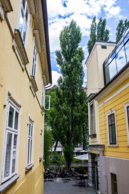 Ljubljana, Slovenya - 15 Temmuz 2017: Güneşli bir günde Ljubljana şehir merkezinde bir sokak manzarası