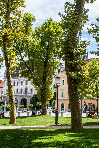 Любляна Словения Июля 2017 Года Вид Площадь Конгресса Центре Любляны — стоковое фото