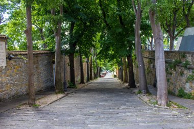 Trieste, İtalya - 16 Temmuz 2017: Güneşli bir günde San Giusto Katedrali 'ne Giden Yol