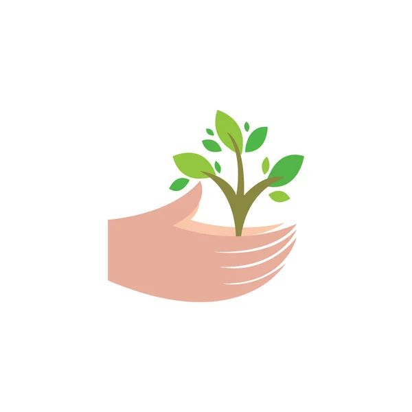 Planta en manos humanas — Vector de stock