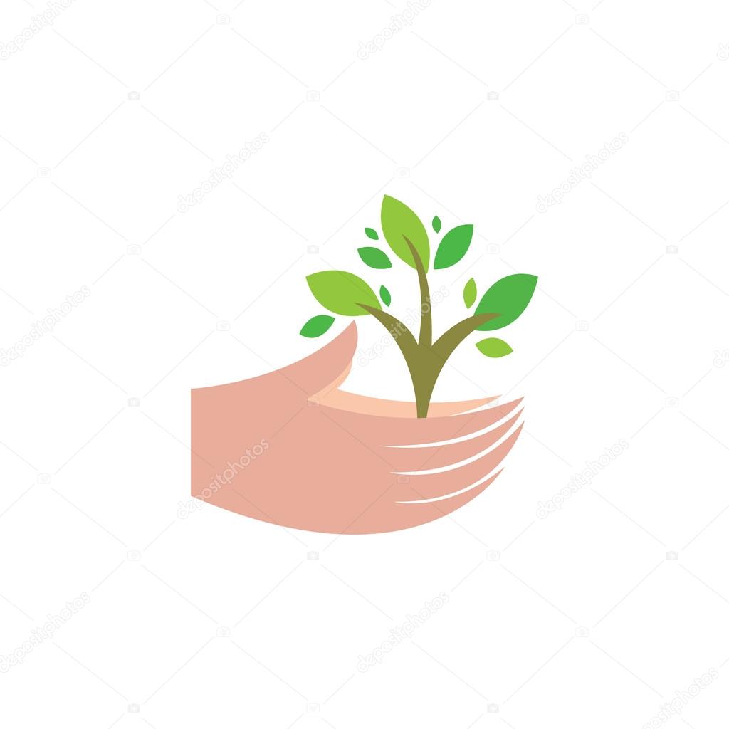 Plant in human hands