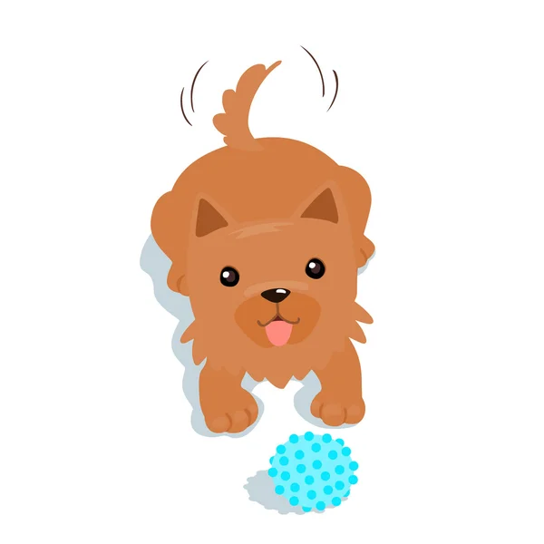 Gelukkige Yorkshire Terrier hond en een bal vector — Stockvector