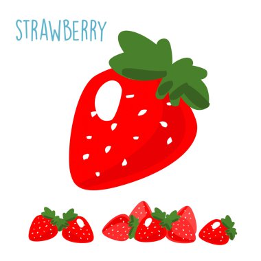 organic fresh strawberry on white background vector