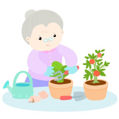 Happy grandmother love plant lettuce vector 