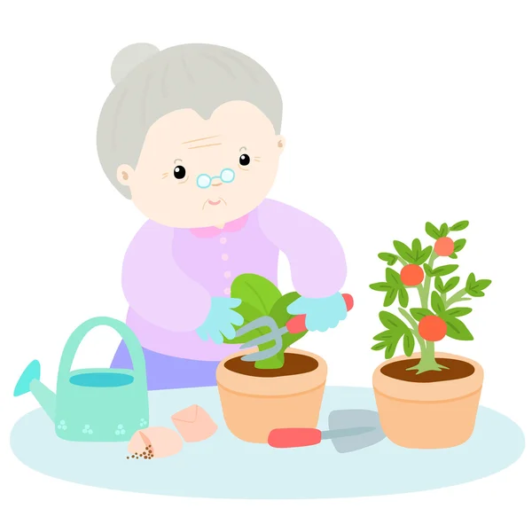Feliz avó amo planta alface vetor — Vetor de Stock