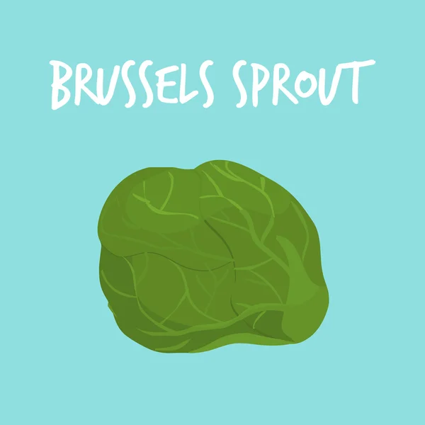 Fresh brussels sprout on blue balckground vector — Διανυσματικό Αρχείο