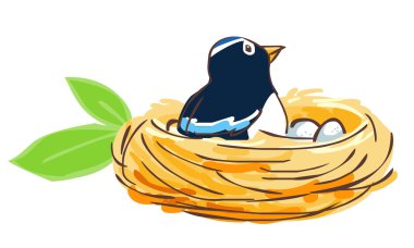 Bird hatch her egg in nest vector