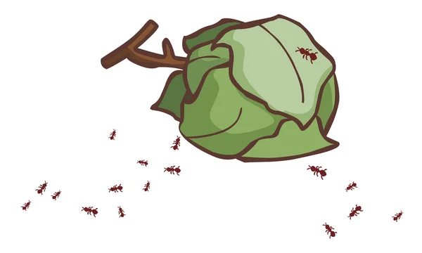 Leaves ant nests on the ground vector — Stockvector