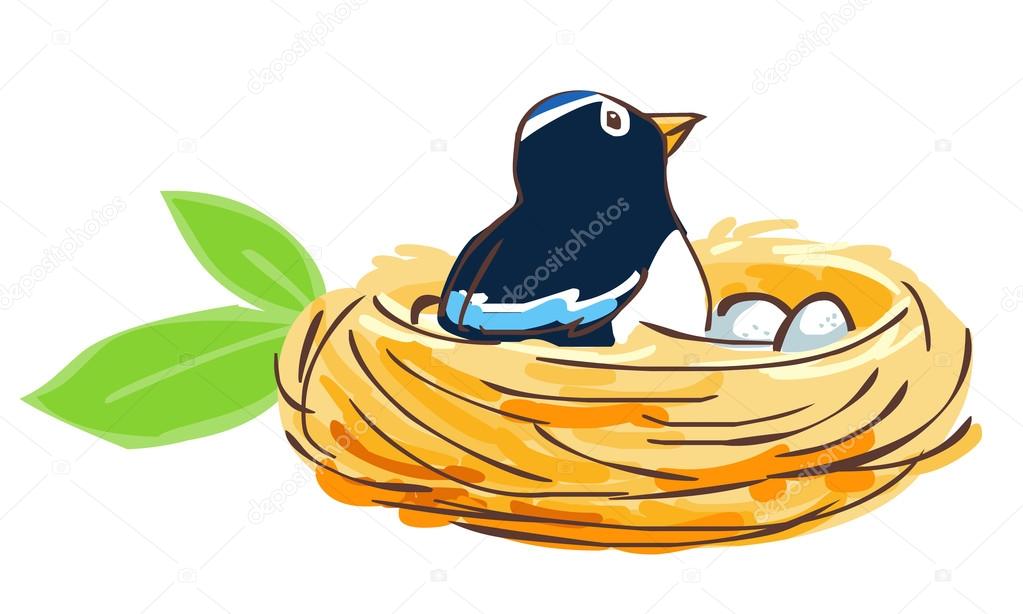 Bird hatch her egg in nest vector