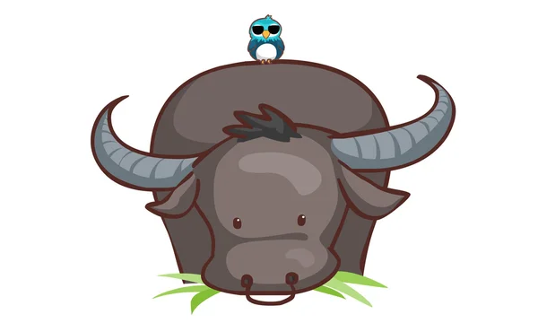 Buffalo eating grass and bird vector — Stockový vektor