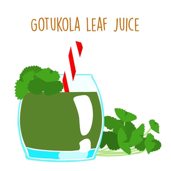 Gotukola φρέσκο χυμό σε ποτήρι με σωλήνα διάνυσμα — Διανυσματικό Αρχείο