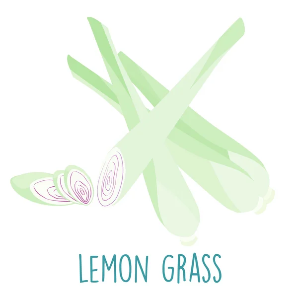 Fresh lemon grass plant and slice vector — Stock Vector