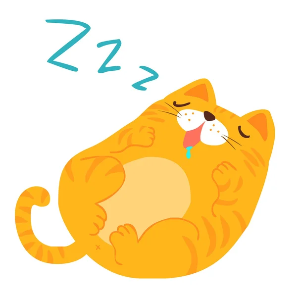 蓬松睡着甜甜的梦猫矢量 — 图库矢量图片