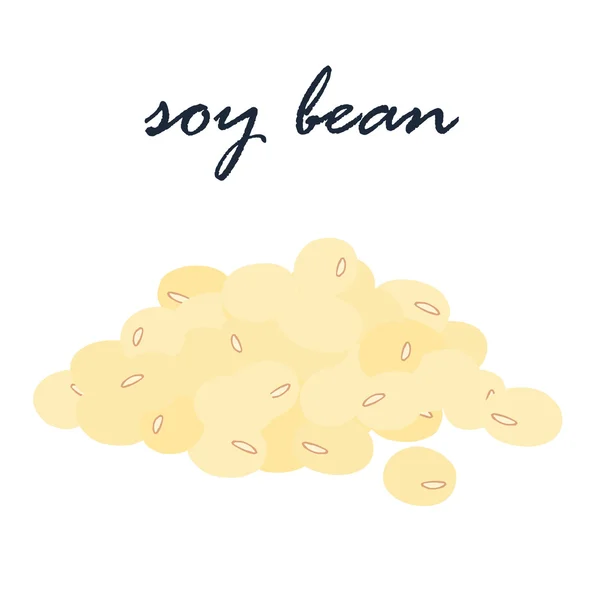 Soy bean vegetarisk ingrediens mat vektor illustratio — Stock vektor