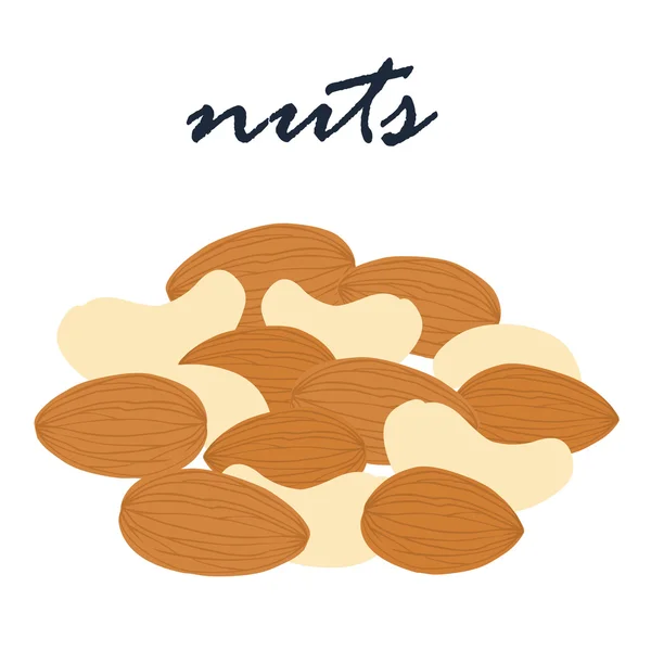 Nuts super vegetarian food vector illustration — Stock Vector