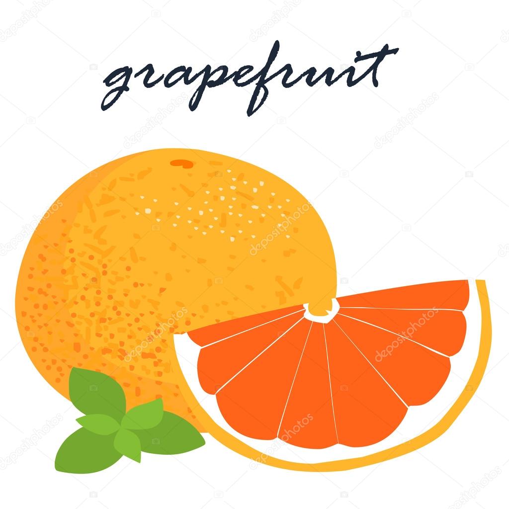 fresh organic grapefruit sweet and sour tasty vector