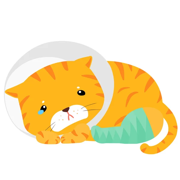 การบาดเจ็บของแมว การแยกภาพเวกเตอร์ขา — ภาพเวกเตอร์สต็อก