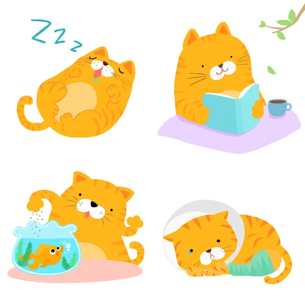 Illustration vectorielle du pack action variété chat orange — Image vectorielle