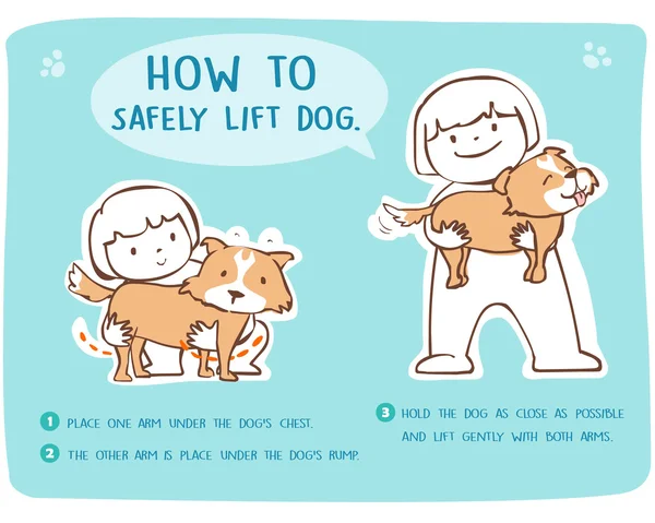 Comment soulever et transporter en toute sécurité un grand vecteur de chien — Image vectorielle
