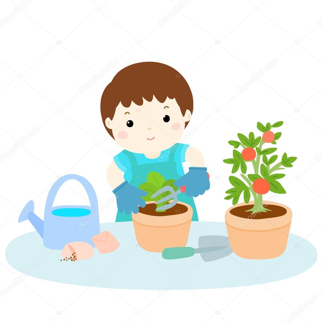 boy planting  healthy organic vegetable cartoon vector