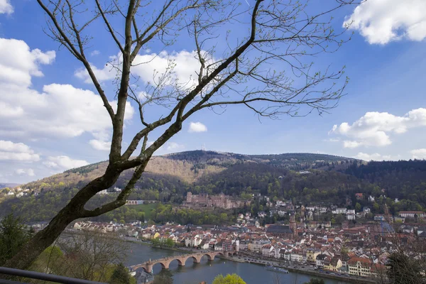 Heidelberg view from Philosphenweg — Stock Photo, Image