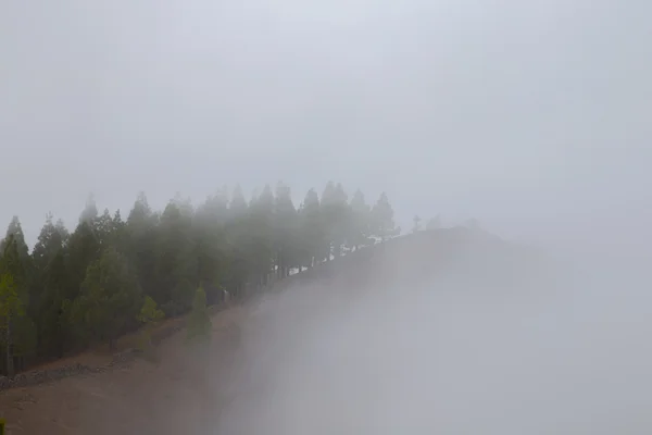 Mist in Gran Canaria mountains — Zdjęcie stockowe