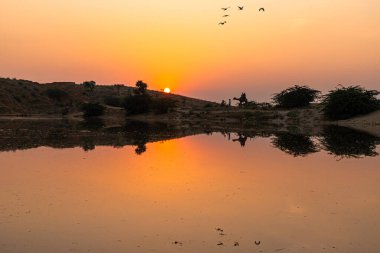 Güzel bir gün batımı manzarası, kuşlar uçuyor ve deve arabasının yansıması.